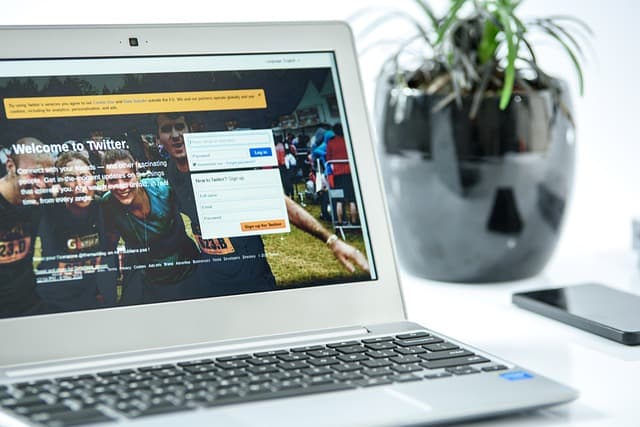 7 Differences Between Web Design and Graphic Design